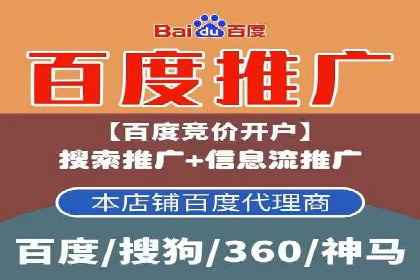 SEM广告创意与执行：成功案例分享